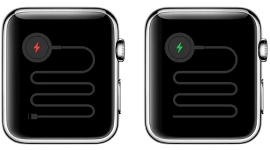 Apple watch 2024 snake screen meaning