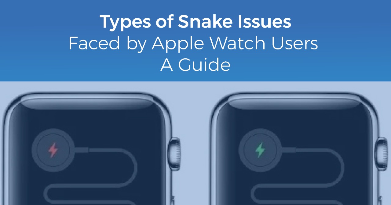 The Snake of Death Issues How To Get Rid of These Problem In An Apple Watch A Guide Rapid Repair